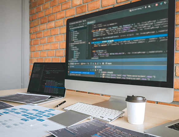 Web Development Company In Indore