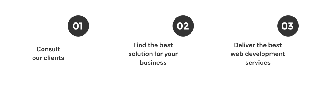 Web Development Company Indore